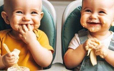 Alimentación complementaria ¿por dónde empezar?
